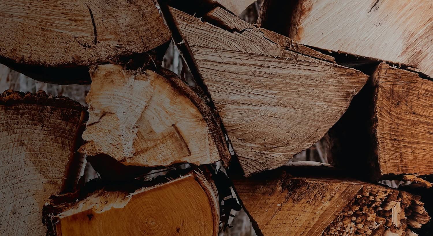 Background image of wood samples