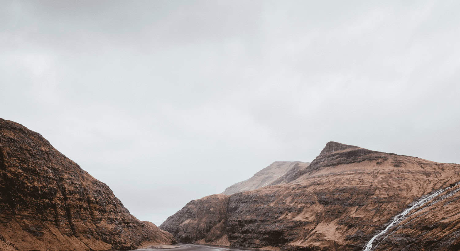 Walking with the Shepherd