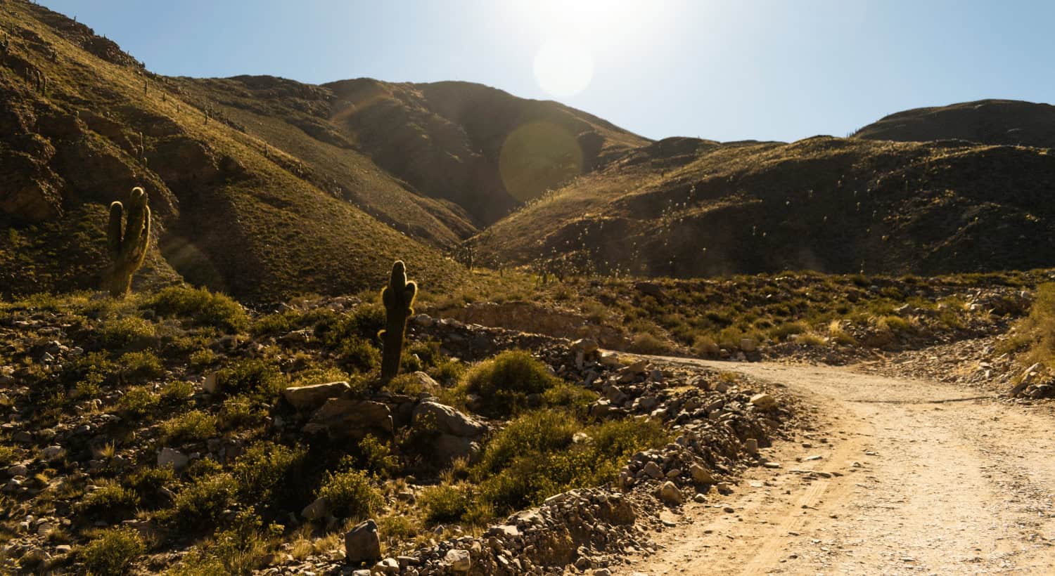 Downhearted Disciples