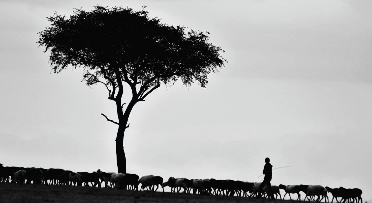 A Mark of God’s Love