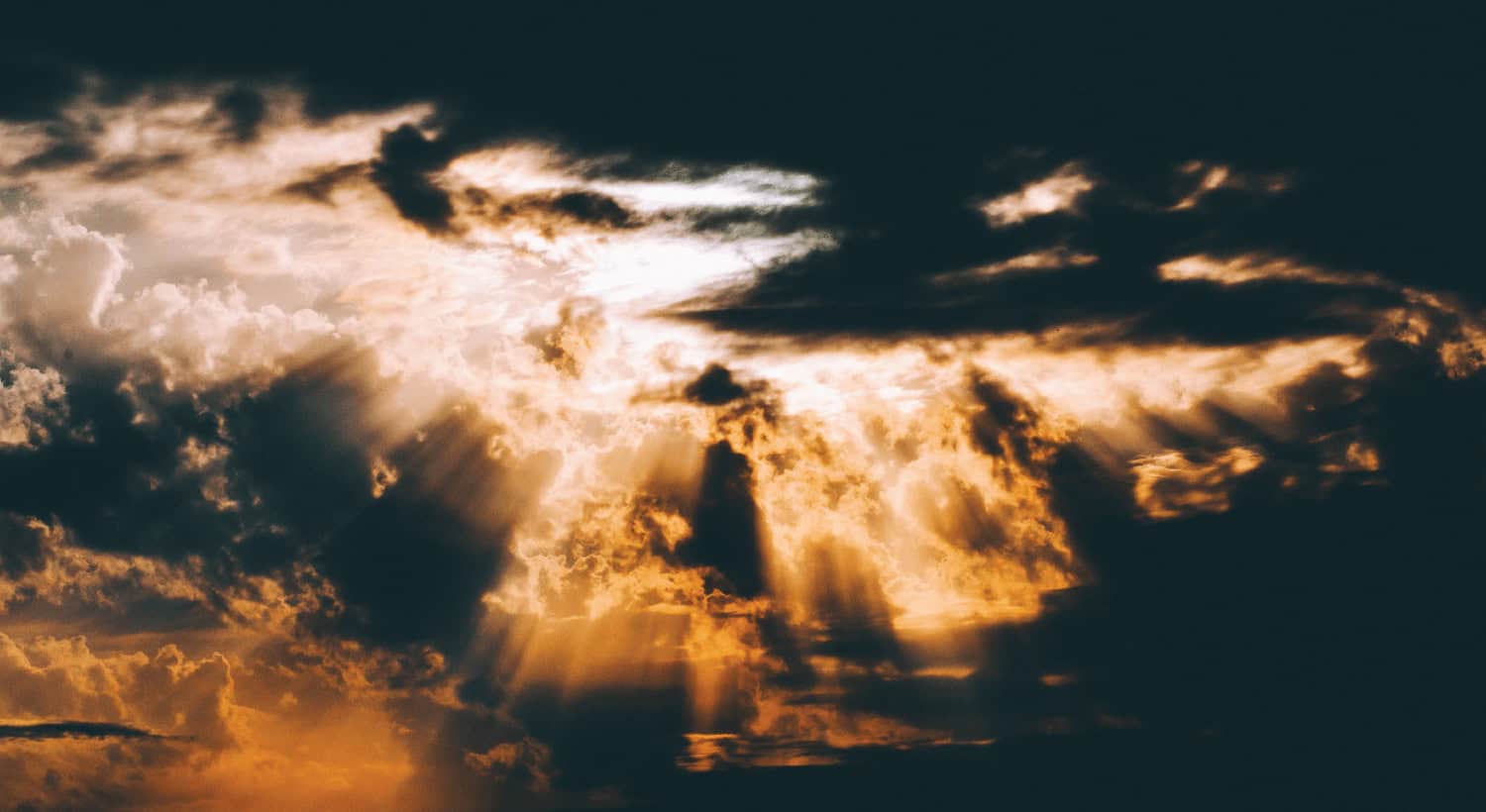 It’s All Part of the Plan