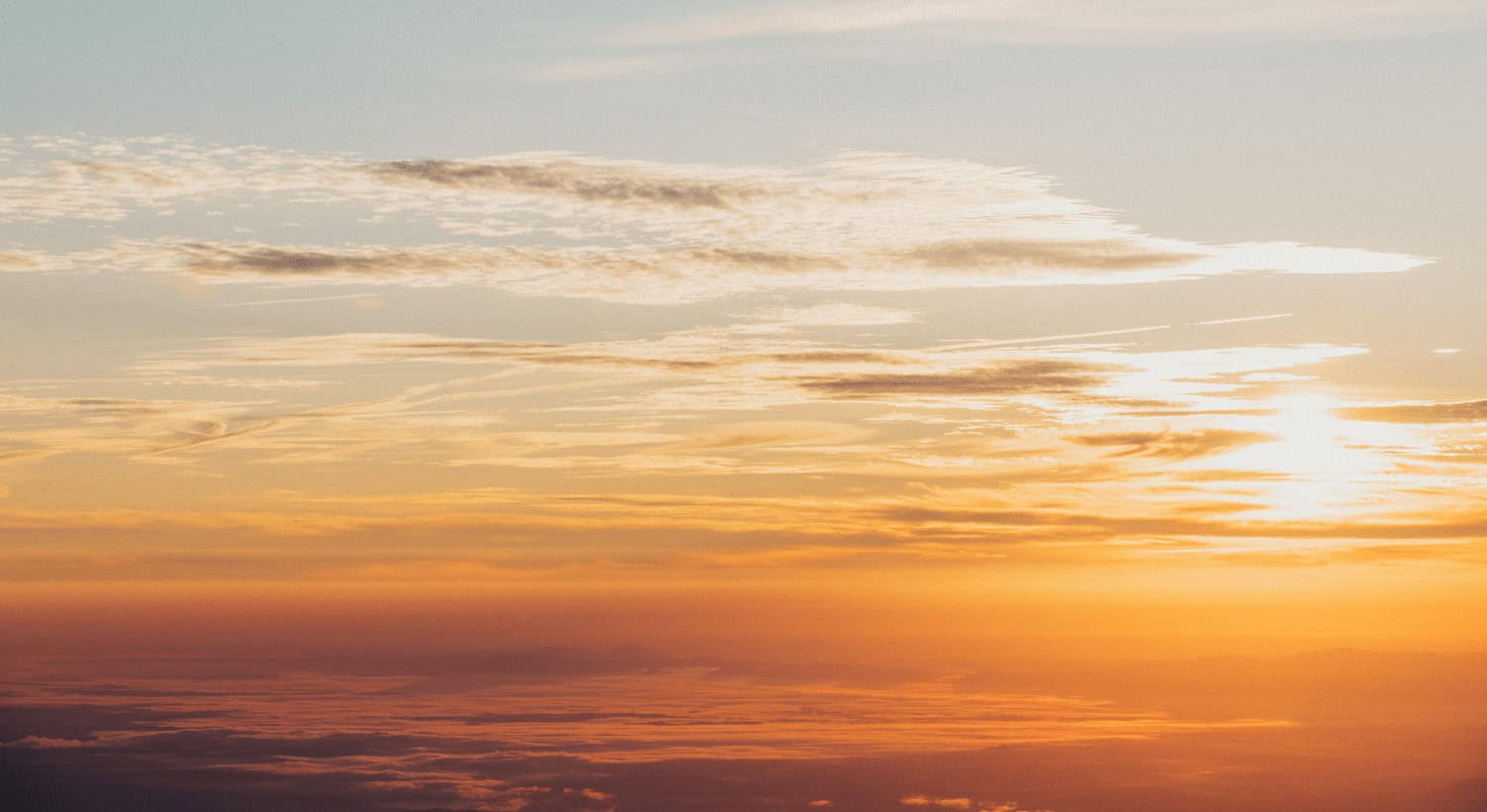 Walk in the Daylight