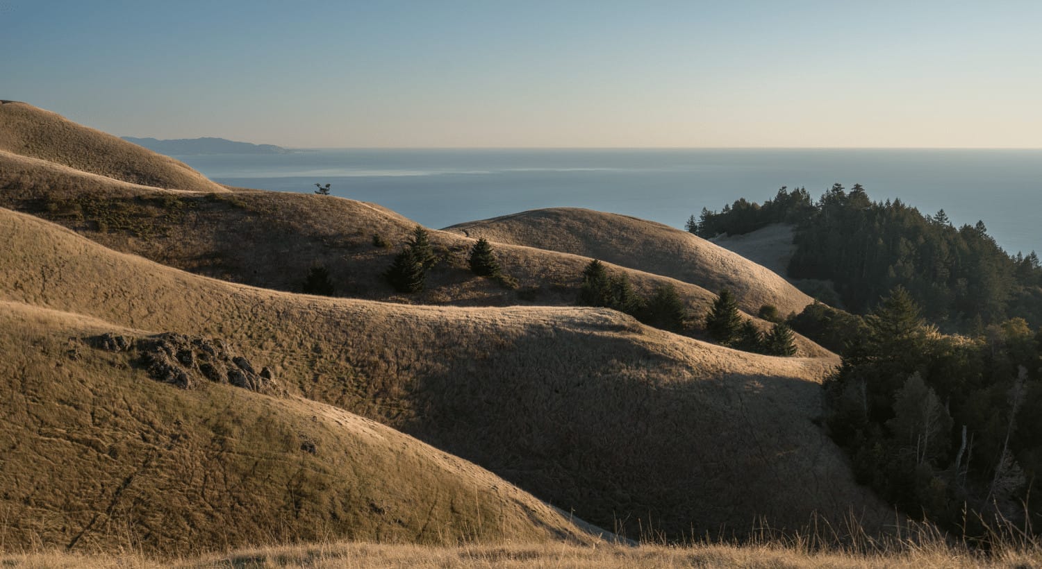 Access to God Almighty