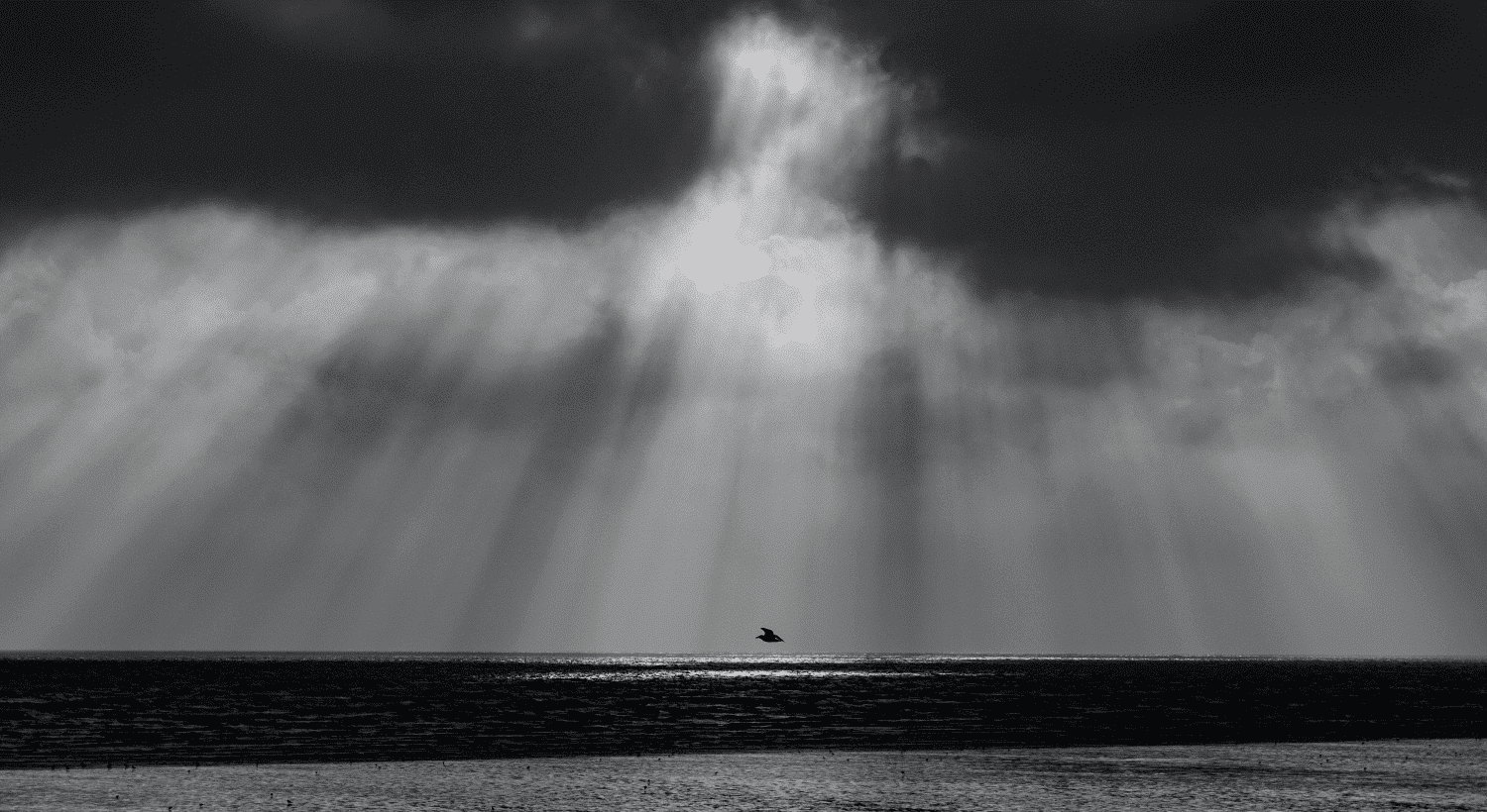 The Evidence of Discipleship