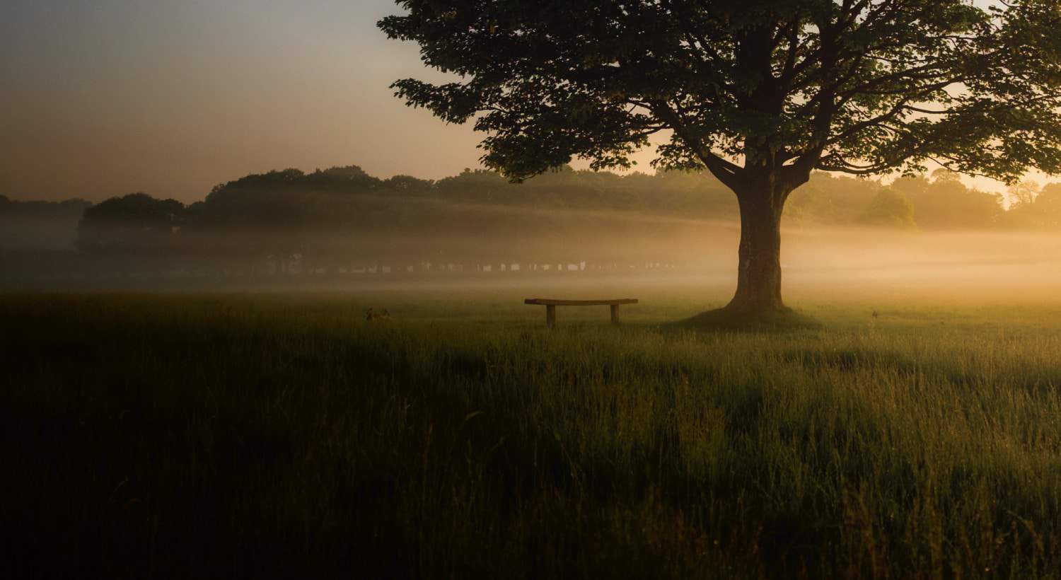 Unclaimed Spiritual Wealth