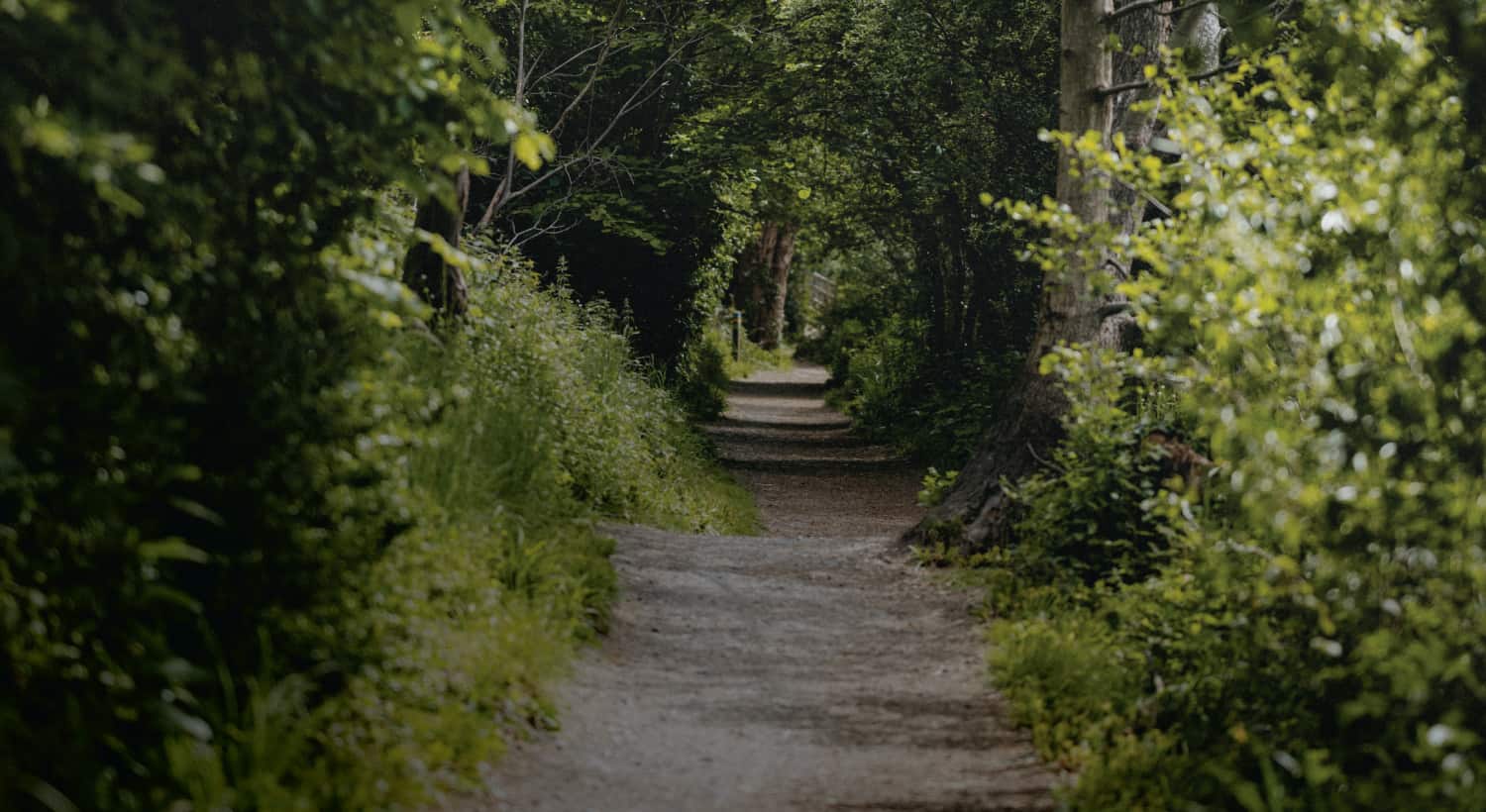 Wrong Place. Wrong Time. Wrong Voice.