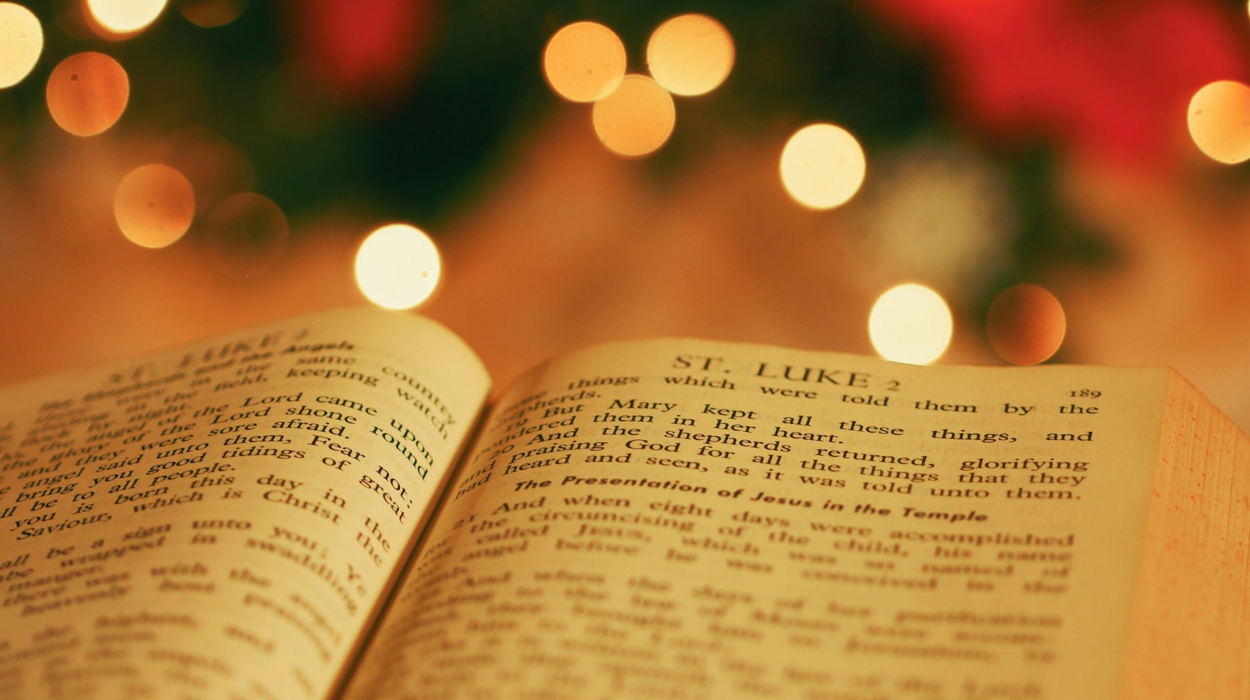 christmas lights and bible