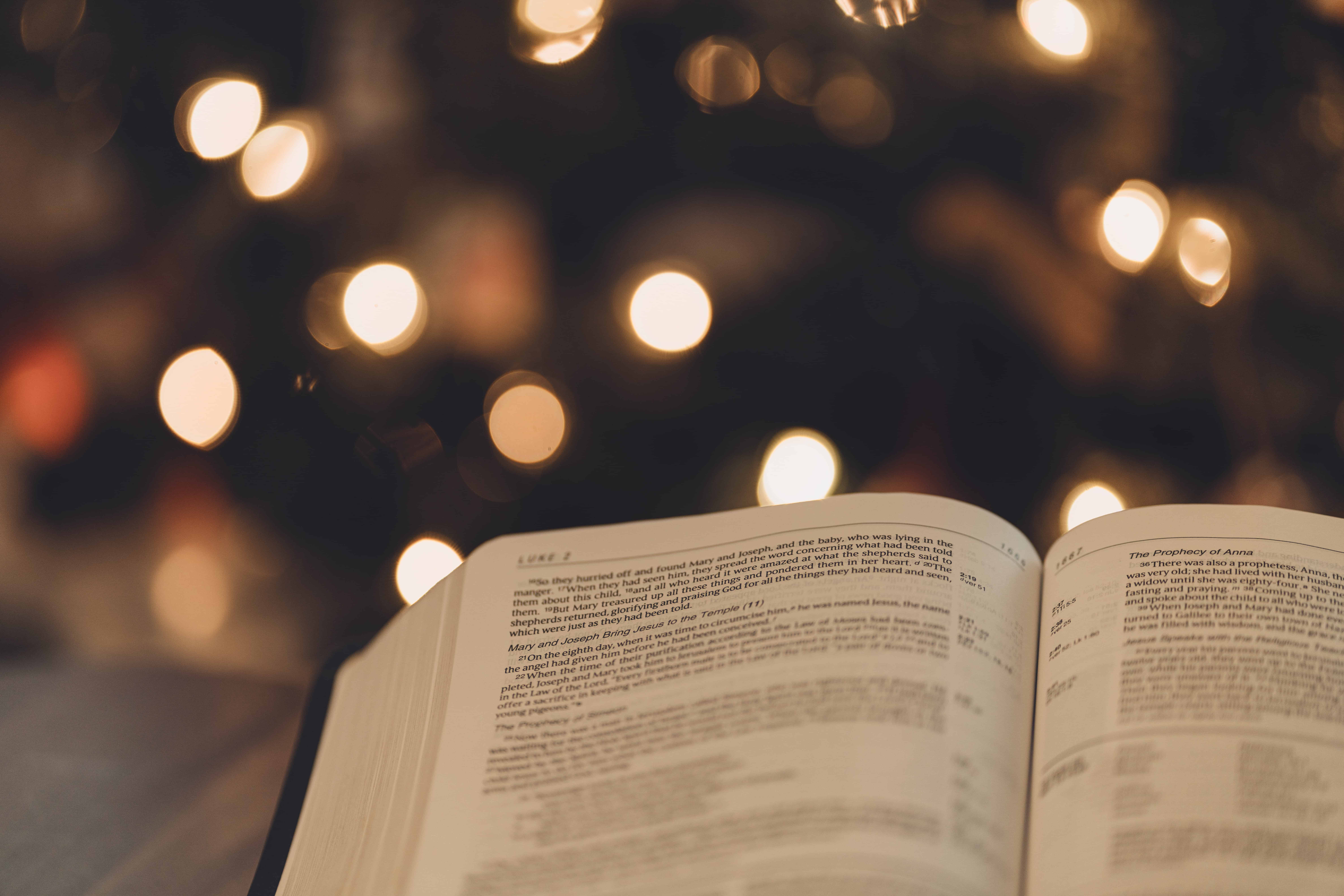Luke 2 in Bible, Christmas tree, Christmas lights